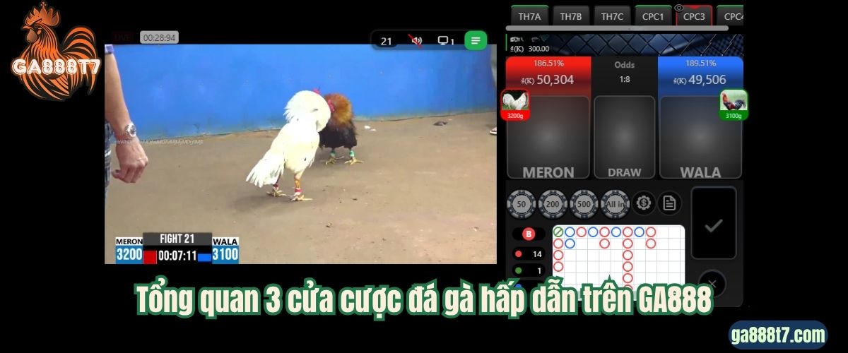 Tổng quan 3 cửa cược đá gà hấp dẫn trên GA888